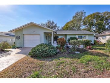 Charming single-story home featuring a well-manicured front yard with lush landscaping and inviting curb appeal at 1487 Dundee Dr, Palm Harbor, FL 34684