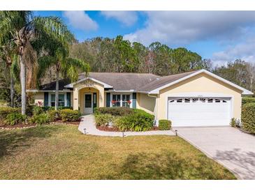 Charming single-story home with a well-manicured lawn and lush landscaping at 29447 Schinnecock Hills Ln, San Antonio, FL 33576