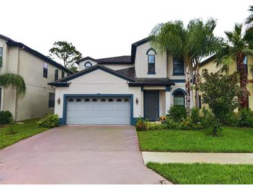Two-story home with a gray garage door, well-maintained lawn, and vibrant landscaping at 11008 Tahiti Isle Ln, Tampa, FL 33647