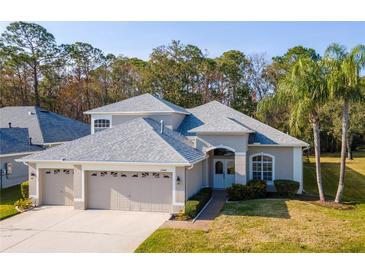 Charming single-Gathering home with a well-manicured lawn, mature trees, and a three-car garage at 12545 Leatherleaf Dr, Tampa, FL 33626