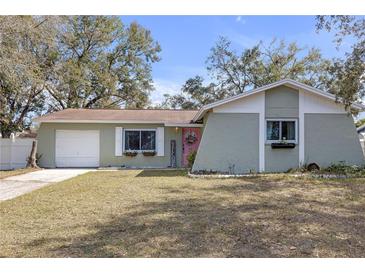 Charming single-story home featuring a welcoming pink front door and a well-maintained lawn at 245 Faithway Dr, Seffner, FL 33584
