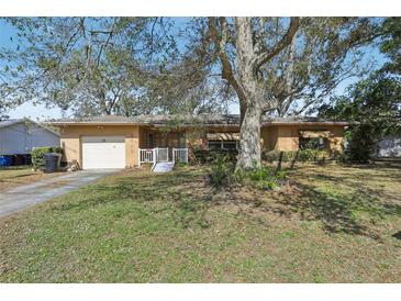 Charming single-story home with a well-maintained front yard and mature shade tree in sunny Florida at 1910 Rainbow Dr, Clearwater, FL 33765