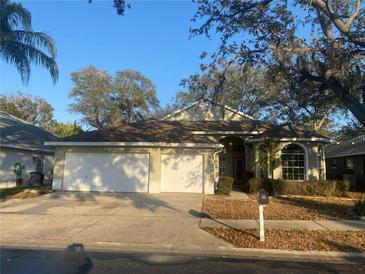 Charming single story home with a well maintained lawn, two-car garage and manicured bushes at 1814 Wood Trail St, Tarpon Springs, FL 34689