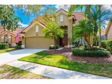 Charming home featuring a tile roof, well-manicured lawn, and mature palm trees at 18934 Avenue Biarritz, Lutz, FL 33558