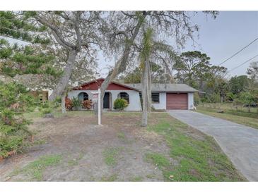 Charming single story home with mature trees, a red trim and a spacious driveway leading to an attached garage at 8547 Horizon Ln, Hudson, FL 34667