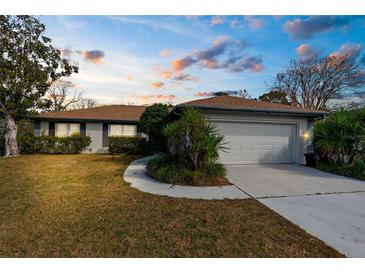 Charming single-story home with a well-manicured lawn and a two-car garage at 8701 Braxton Dr, Hudson, FL 34667