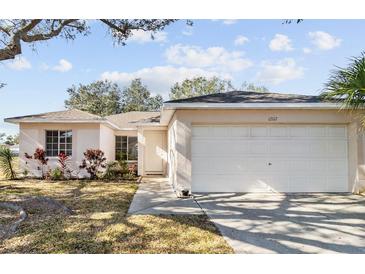 Charming single-story home features a well-manicured lawn, lovely landscaping, and a two-car garage at 12112 Feldwood Creek Ln, Riverview, FL 33579