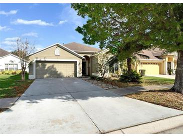 Charming single-story home featuring a two-car garage, neutral stucco, and mature trees in a landscaped yard at 305 Taxter Run Ln, Valrico, FL 33594
