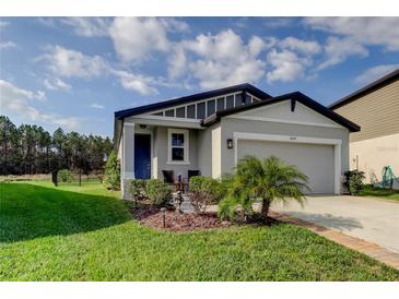 Charming single-story home features a manicured lawn and a two-car garage at 34747 Telluride Ln, Zephyrhills, FL 33541