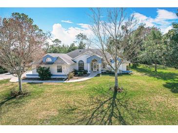 Charming single-story home with blue and white accents, lush lawn and beautiful trees at 11420 Amboy St, Spring Hill, FL 34609