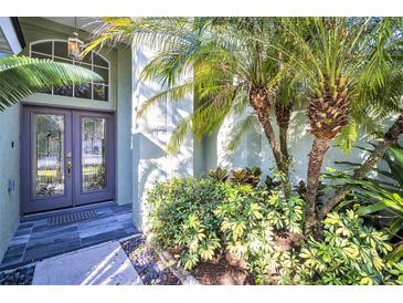 Elegant home entrance with a stylish door, lush landscaping, and a welcoming ambiance at 13735 Antler Point Dr, Tampa, FL 33626