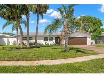 Charming single-story home featuring a well-manicured lawn, beautiful palm trees, and a two-car garage at 4706 Shale Pl, Tampa, FL 33615