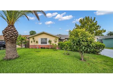 Nice curb appeal with lush lawn and a palm tree at 8717 Velvet Dr, Port Richey, FL 34668