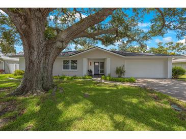 Newly renovated home with a large oak tree and spacious yard at 1995 Arvis E Cir, Clearwater, FL 33764