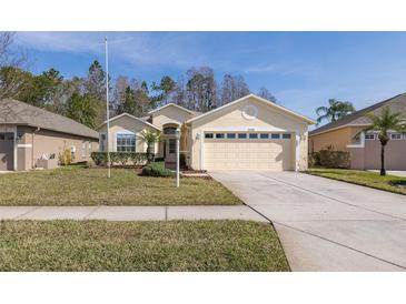 One-story house with a two-car garage and well-maintained lawn at 1153 Dustan Pl, Trinity, FL 34655