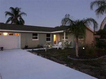 Ranch style home with a large driveway and mature landscaping at 1050 Tamarac Dr, Holiday, FL 34690
