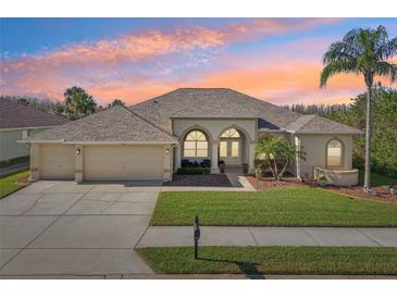 Attractive single-story home with three-car garage and landscaped yard at 7302 Melogold Cir, Land O Lakes, FL 34637