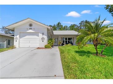 White house with green lawn, palm tree, and driveway at 10620 Salamanca Dr, Port Richey, FL 34668