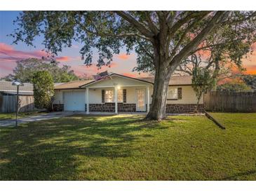 House exterior featuring a large tree, manicured lawn, and American flag at 6920 Medlar Dr, New Port Richey, FL 34653