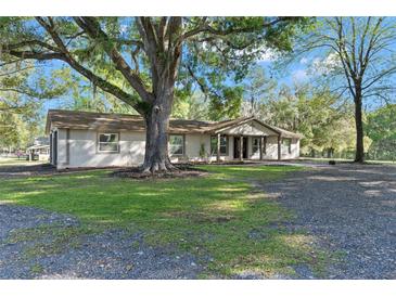 Ranch style home with mature landscaping and large oak tree at 23051 Lake Lindsey Rd, Brooksville, FL 34601