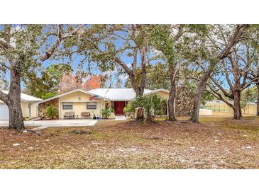 Ranch style home with mature trees, large yard, and driveway at 18923 Rolling Oak Dr, Hudson, FL 34667