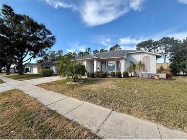 Landscaped yard with a single-story house and palm trees at 8111 Merrimac Dr, Port Richey, FL 34668