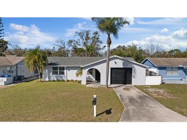 Charming single-story home with a well-maintained lawn and beautiful palm trees at 7431 Abington Ave, New Port Richey, FL 34655