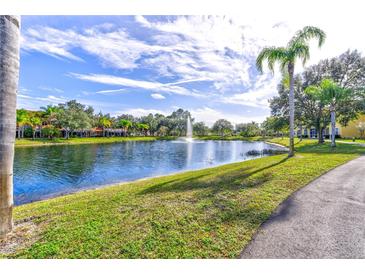 Scenic view of pond with fountain surrounded by lush landscaping and a walking path on a sunny day at 6734 Dali Ave # 205, Land O Lakes, FL 34637