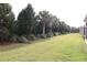 Landscaped backyard with manicured lawn and privacy hedge at 11936 Sky Acres Ter, Bradenton, FL 34211