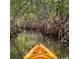 Kayaking through mangrove tunnels at 1305 4Th St # 202P, Sarasota, FL 34236