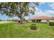 Large backyard with lush lawn and mature tree at 1654 Waxwing Ct, Venice, FL 34293