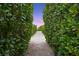 A sandy walkway flanked by greenery leads to the beach at 5005 Gulf Of Mexico Dr # 5, Longboat Key, FL 34228