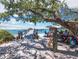 Relaxing beachfront seating under a shady tree, near a pier at 542 Sutton Pl, Longboat Key, FL 34228