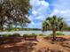 Peaceful lake view with a bench under shade trees at 7360 Oak Moss Dr # 4, Sarasota, FL 34241