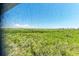 Expansive view of lush green foliage extending to the horizon under a clear blue sky at 3607 E Bay Dr # 202, Holmes Beach, FL 34217