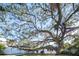 Two-story home with a sprawling live oak tree in the front yard at 2420 Floyd St, Sarasota, FL 34239