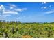 An aerial view of lush vegetation near the property at 5444 Gulf Of Mexico Dr, Longboat Key, FL 34228