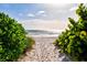 Inviting beach access path framed by lush greenery, leading to a sandy beach and sparkling ocean at 105 New Briton Ct, Bradenton, FL 34212