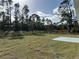 Spacious backyard with grassy area and tree line at 8005 Tropicaire Blvd, North Port, FL 34291