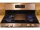 Stainless steel gas cooktop with griddle at 1201 Bensbrooke Dr, Wesley Chapel, FL 33543