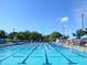 Olympic-size swimming pool with lanes and ample deck space at 2246 Webber St, Sarasota, FL 34239