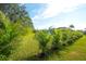 Landscaped backyard with lush green grass and tropical plants at 15923 29Th E St, Parrish, FL 34219