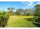 Expansive grassy backyard, bordered by trees and tropical plants at 15923 29Th E St, Parrish, FL 34219