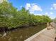 Tranquil waterfront property with lush mangroves and private wooden dock at 705 Jungle Queen Way, Longboat Key, FL 34228