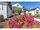 White house exterior with landscaping and pink flowers at 10622 Cheval Pl, Lakewood Ranch, FL 34202