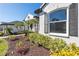 Landscaped front yard with palm trees and manicured shrubs at 10622 Cheval Pl, Lakewood Ranch, FL 34202