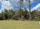 Grassy backyard with natural surrounding greenery at 2968 Yacolt Ave, North Port, FL 34286