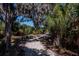 Scenic nature trail winding through lush vegetation and beneath majestic oak trees at 4532 Shark Dr, Bradenton, FL 34208