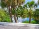 Tranquil waterfront view with lush vegetation and palm trees at 7665 Sanderling Rd, Sarasota, FL 34242