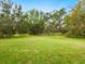 Open green space with mature trees and lush grass at 5050 Kestral Park S Way, Sarasota, FL 34231